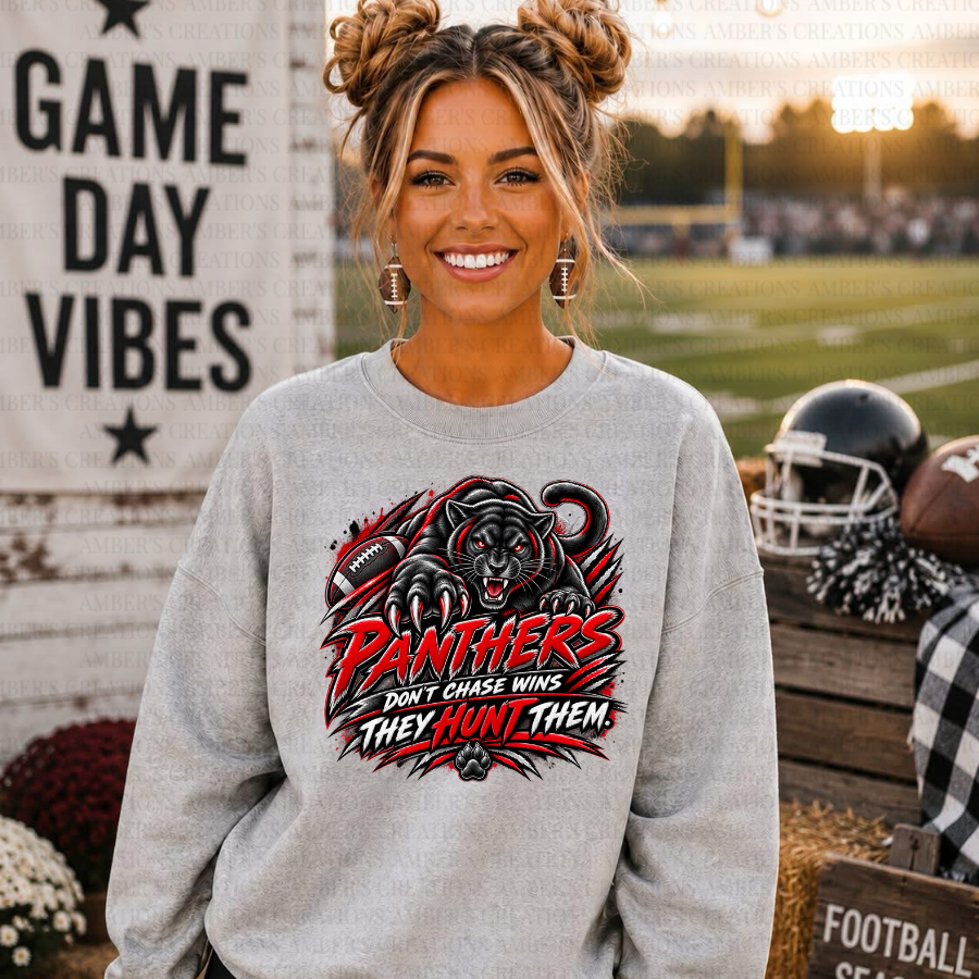 Panthers — Sports PNG